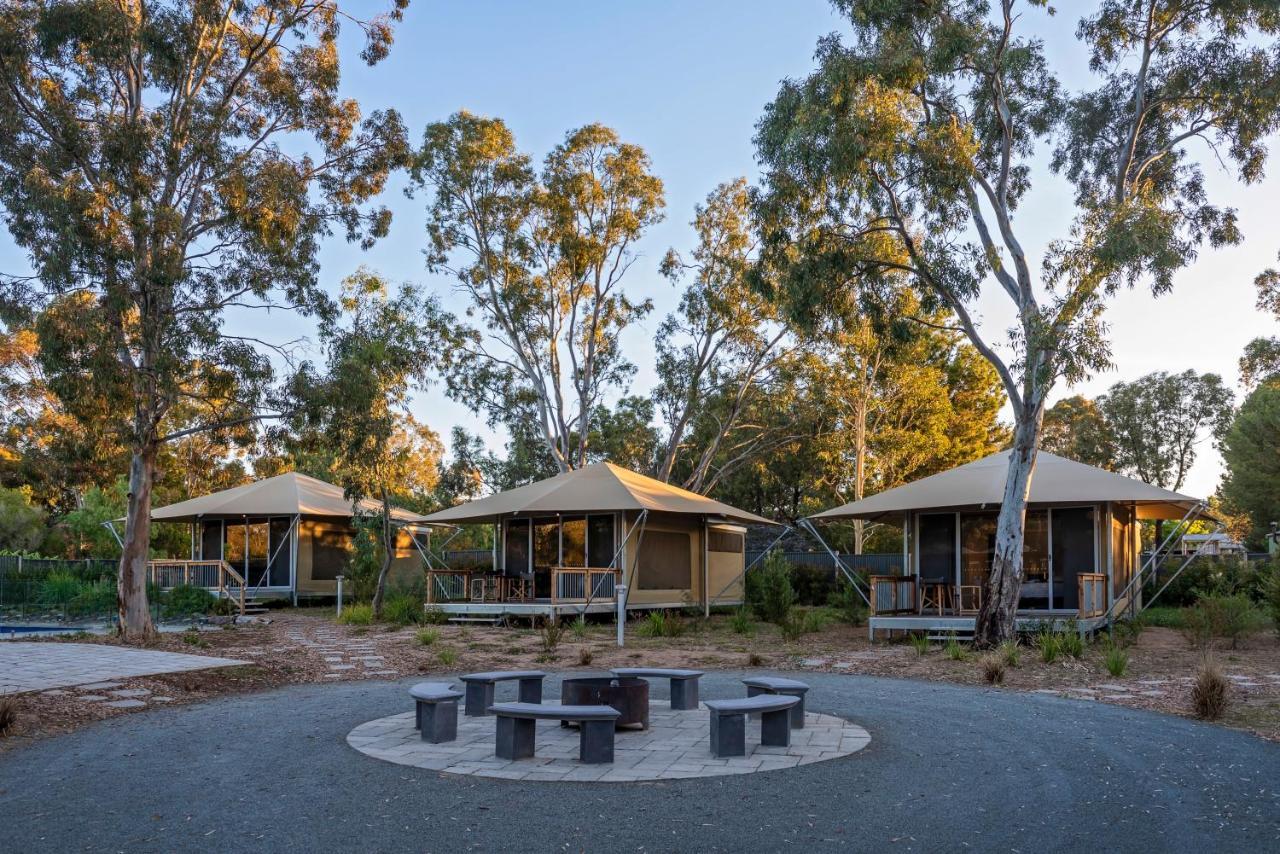 Discovery Parks - Barossa Valley Танунда Экстерьер фото